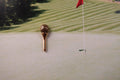 Golf Tee Gold Lapel Pin