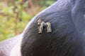 Gorilla Lapel Pin