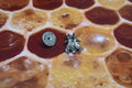 Honey Bee Lapel Pin