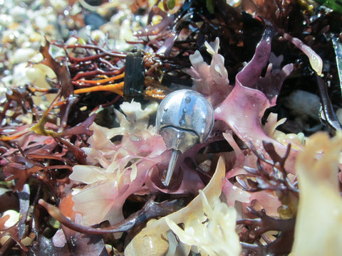 Horseshoe Crab Lapel Pin