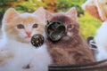 Kittens in a Basket Lapel Pin