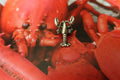 Lobster Lapel Pin