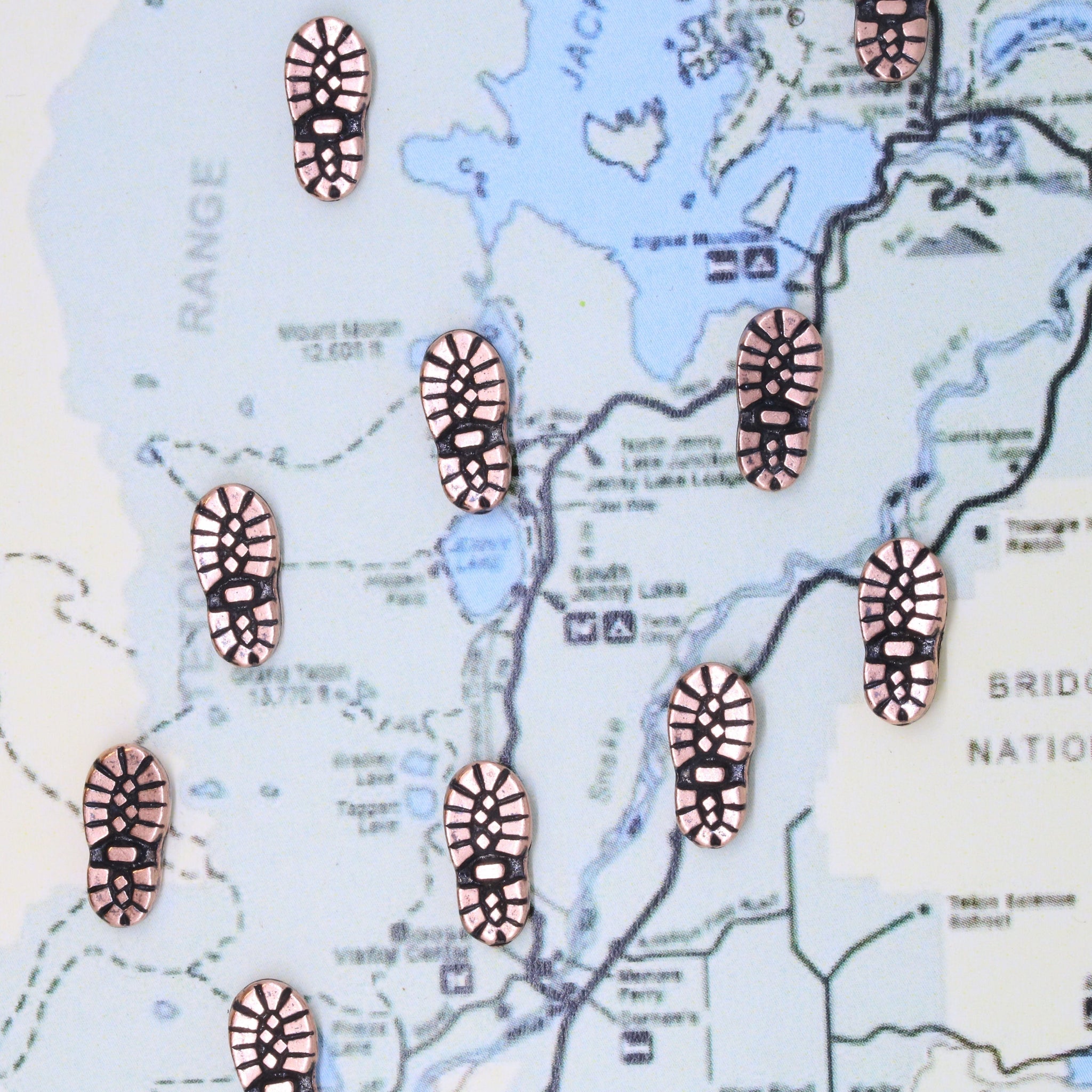The Boot Map Hiking Boot Map Pins – lapelpinplanet