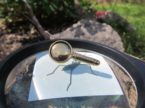 Magnifying Glass Gold Lapel Pin