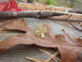 Oak Tree Gold Lapel Pin