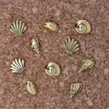 Seashells Pushpins