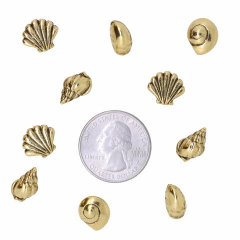Seashells Pushpins