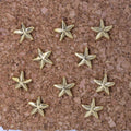 Starfish Pushpins