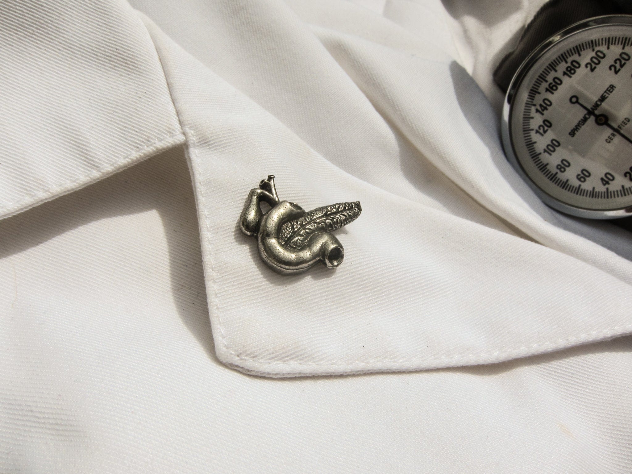 Pancreas Lapel Pin – lapelpinplanet