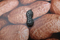 Peanut Lapel Pin