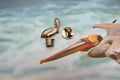 Pelican Lapel Pin