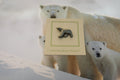 Polar Bear Lapel Pin