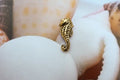 Seahorse Gold Lapel Pin