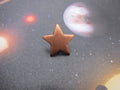 Star Copper Lapel Pin