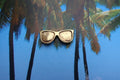 Sunglasses Gold Lapel Pin