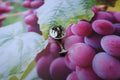 Wine Glass Lapel Pin